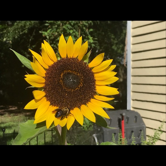 Meet Your Quirky Posher, Jennifer - Picture 5 of 8